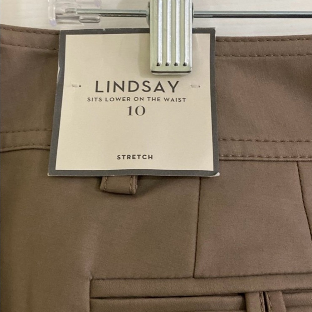 Ann Taylor Lindsay Sz 10 Wide Leg Tan Pants